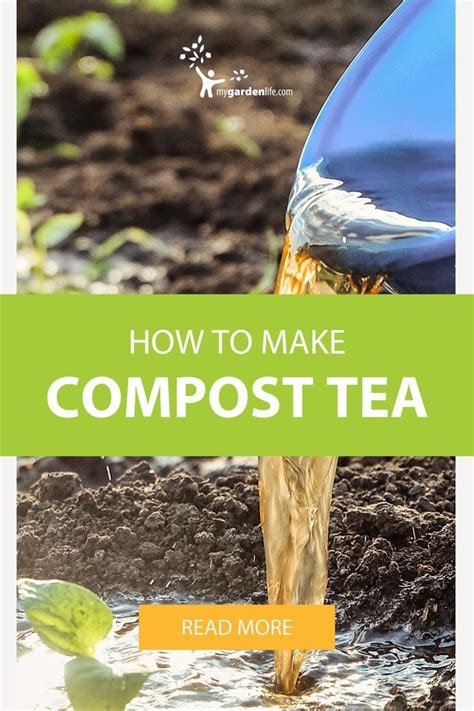 How to make compost tea