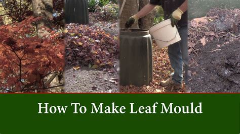 How to make leaf mold