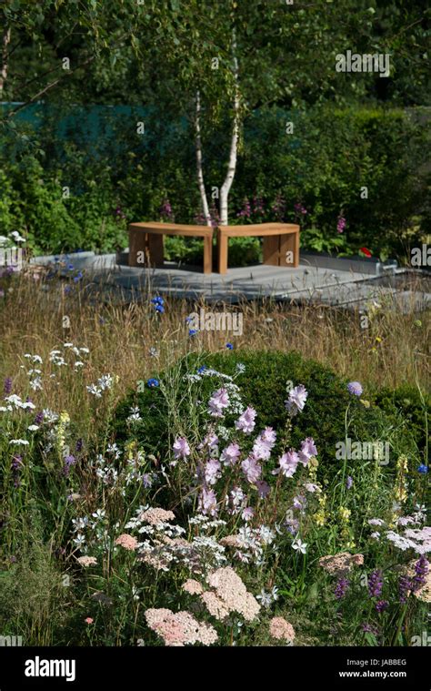 How to nurture an azalea