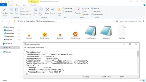 How to open air Windows PC PKPASS data file