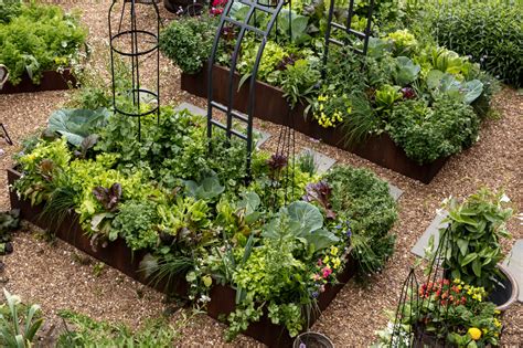 How to plan a garden