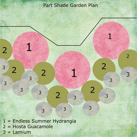 How to plan a shade garden