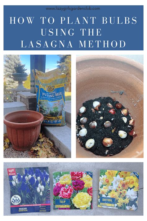 How to plant bulbs in pots using the ‘lasagne’ method