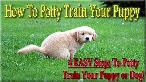 ⭐Potty Train Your Puppy Quickly & Easily⭐ in 2020 Potty training