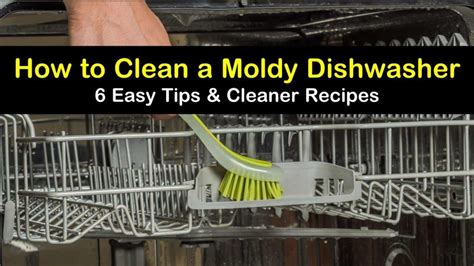 How to prevent black mold growth in dishwasher
