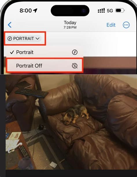 How to remove Portrait mode effect from Photos