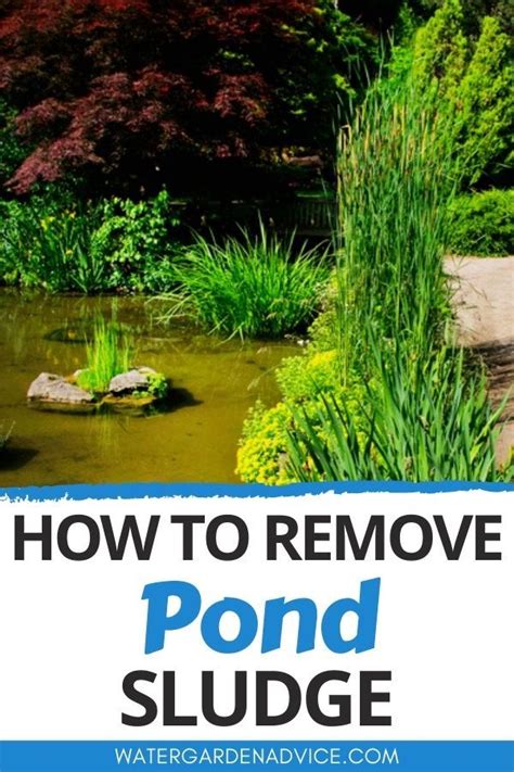 How to remove a pond