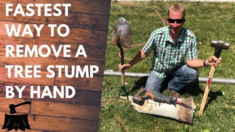 How to remove a tree stump by hand