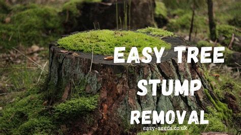 How to remove small tree stumps