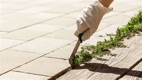 How to remove weeds from pavers