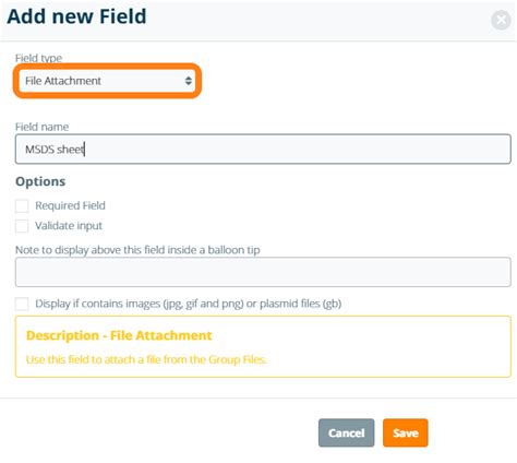 How to retrieve the body field of fileattachment entity / C#