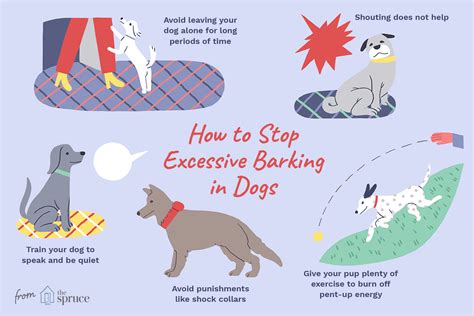 How to Stop Your Dog From Barking 5 Simple Tips Love Of A Pet