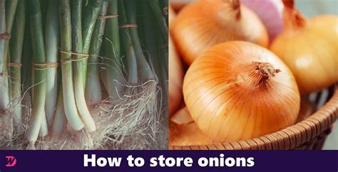 How to store onions from a grocery store