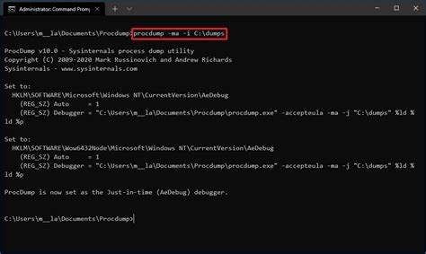 How to use ProcDump on Windows 10