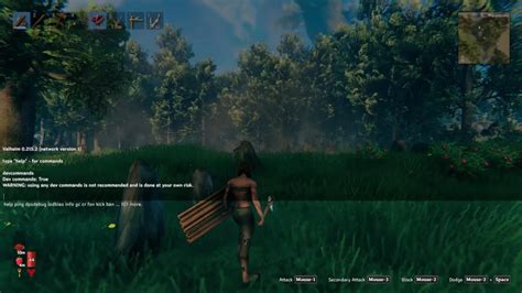 How to use Valheim cheats