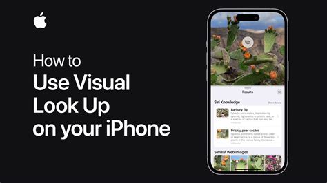 How to use Visual Lookup on an iPhone