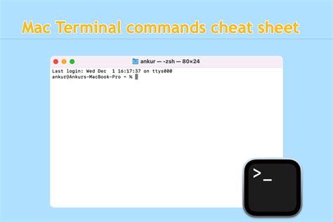 How to use macOS terminal commands