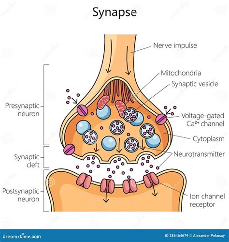 How to use synapse\'s saveinstance (tutorial)