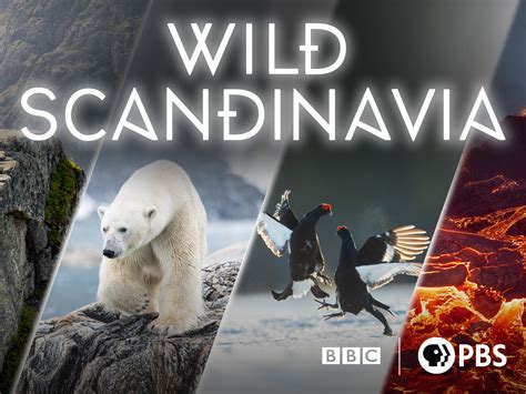 How to watch Wild Scandinavia