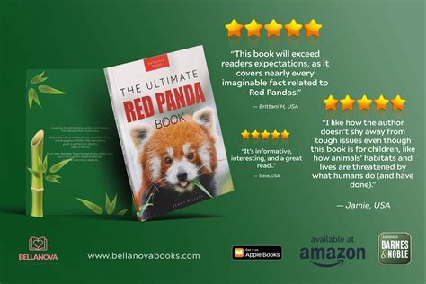 How Red Panda Books Supports Emerging Authors