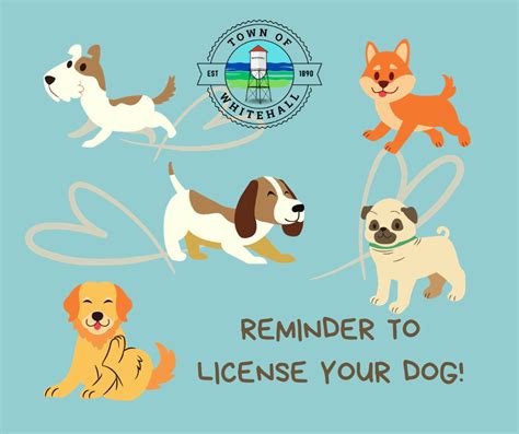 How to Purchase Your Dog License