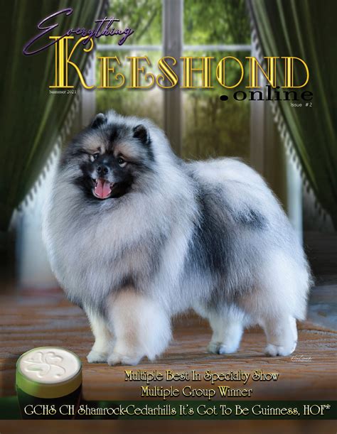 Http Dogs