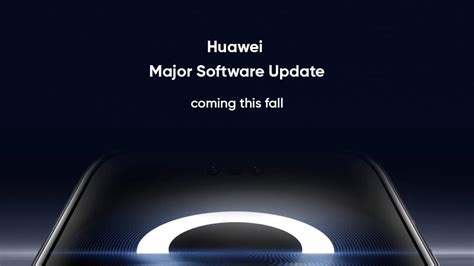 Huawei fall