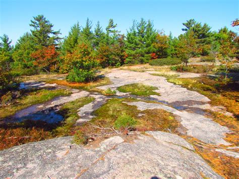 Huckleberry Rock Lookout