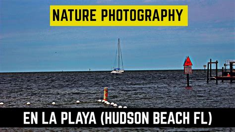 Paisaje costero de Hudson, Florida