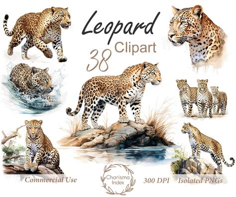 Download Huge Sublimation Bundle, Leopard Designs Commercial Use