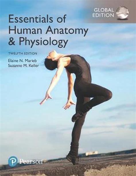 Human Anatomy and Physiology by Elaine N. Marieb and Katja