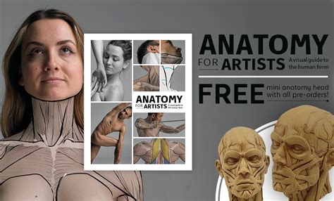 Human Anatomy For Artists The Elements Of Form