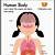 Human Anatomy Pictures For Kids