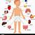 Human Body Organs For Kids
