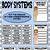Human Body Systems For Kids Worksheets