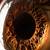 Human Eye Iris Close Up
