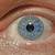 Human Eye Iris