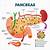 Human Pancreas Diagram