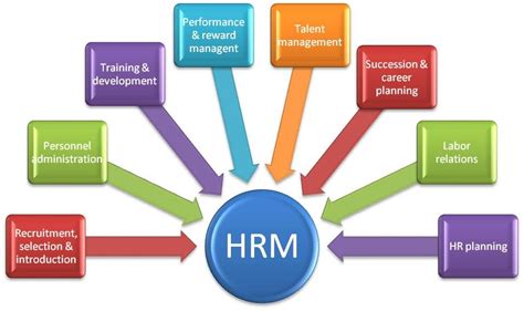 Image related to Human Resource Management bussiness dynamics