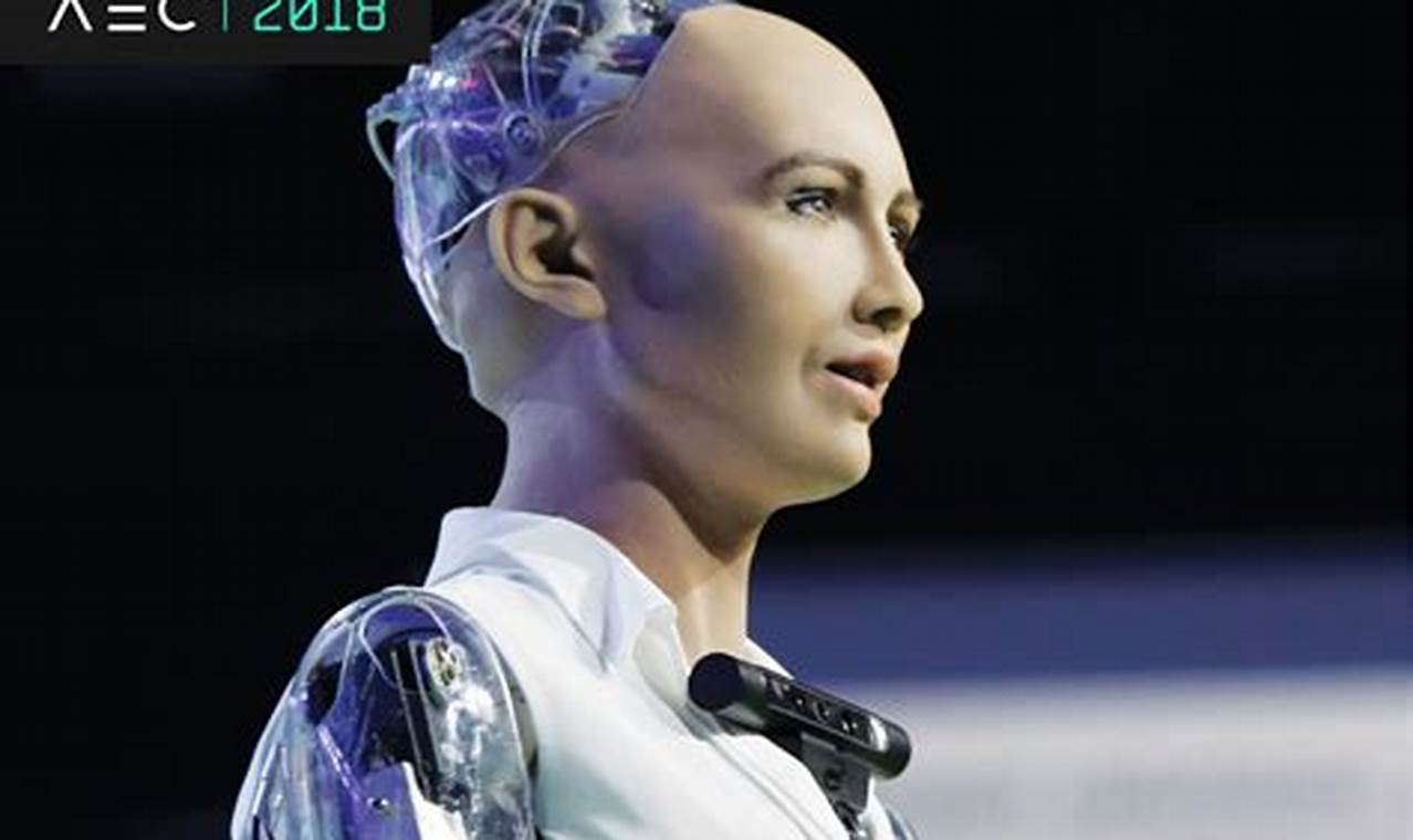 Human Robot 2024