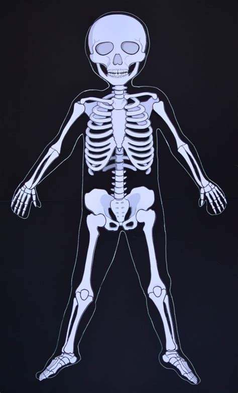 Create a felt board skeleton for the children to assemble