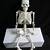 Human Skeleton Model For Sale