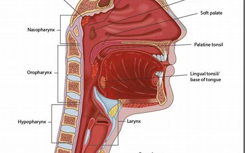 Voices of the Throat Human Design