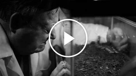 Human Centipede 2 Baby Scene Video