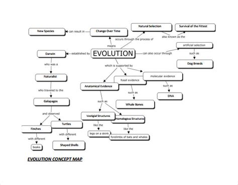 Mechanisms of Evolution Concept Map