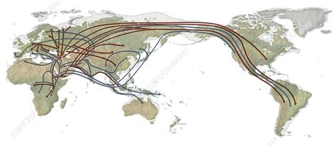 Largest YDNA Haplogroup by Country, World Map (Interactive + Static