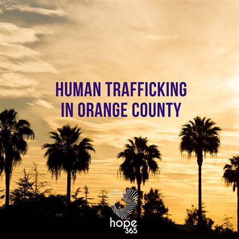 Human Trafficking Volunteer Orange County