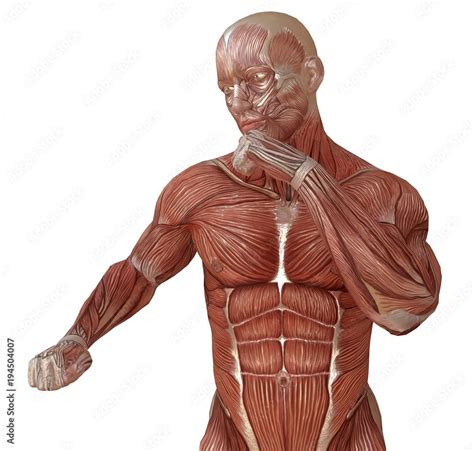 The Ultimate Revelation: Unveiling the Terrifying World of a Human Without Skin