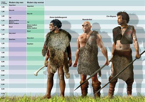 Human Evolution