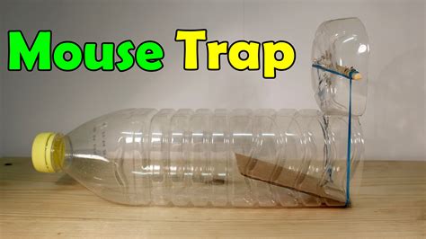 Send Compassion Soaring with these Creative and Humane Mouse Traps To Save Our Furry Friends!